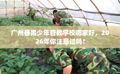 广州番禺少年管教学校哪家好，2026年你注意过吗！