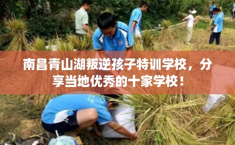 南昌青山湖叛逆孩子特训学校，分享当地优秀的十家学校！