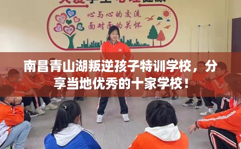 南昌青山湖叛逆孩子特训学校，分享当地优秀的十家学校！