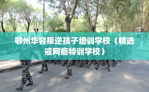 鄂州华容叛逆孩子培训学校（精选戒网瘾特训学校）