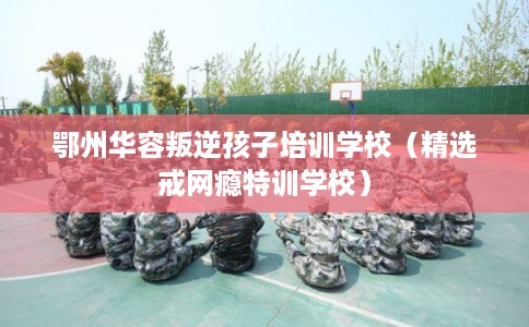 鄂州华容叛逆孩子培训学校（精选戒网瘾特训学校）