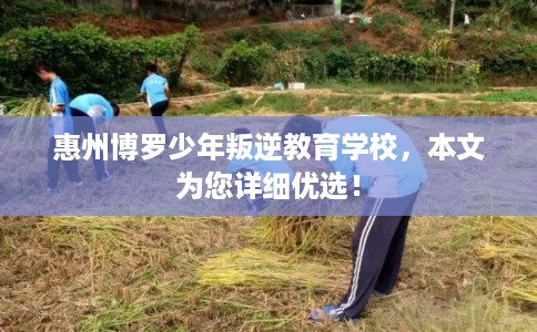 惠州博罗少年叛逆教育学校，本文为您详细优选！