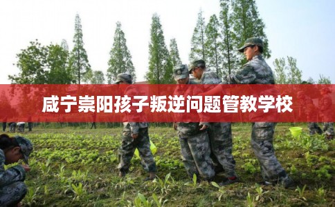 咸宁崇阳孩子叛逆问题管教学校 咸宁崇阳孩子叛逆问题管教学校