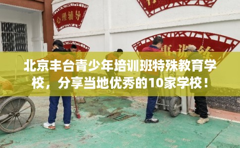 北京丰台青少年培训班特殊教育学校，分享当地优秀的10家学校！