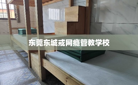 东莞东城戒网瘾管教学校 东莞东城戒网瘾管教学校