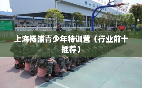 上海杨浦青少年特训营（行业前十推荐）