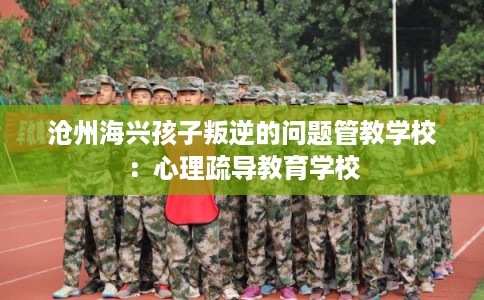 沧州海兴孩子叛逆的问题管教学校：心理疏导教育学校