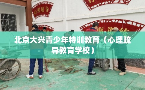 北京大兴青少年特训教育（心理疏导教育学校）
