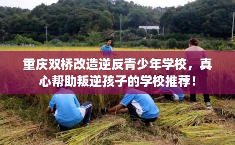 重庆双桥改造逆反青少年学校，真心帮助叛逆孩子的学校推荐！