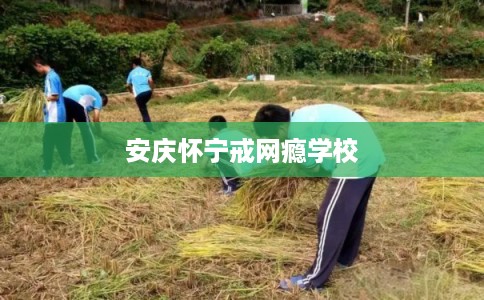 安庆怀宁戒网瘾学校