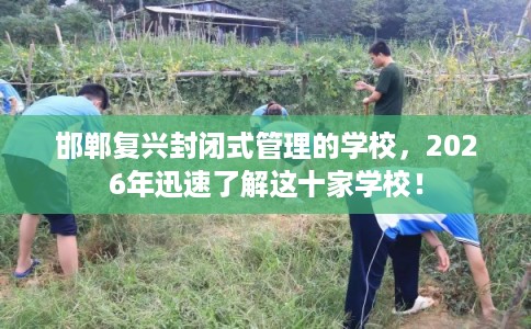 邯郸复兴封闭式管理的学校，2026年迅速了解这十家学校！
