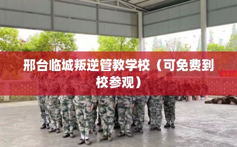 邢台临城叛逆管教学校（可免费到校参观）