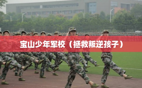 宝山少年军校（拯救叛逆孩子）