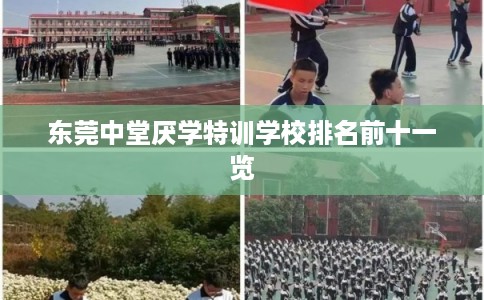 东莞中堂厌学特训学校排名前十一览