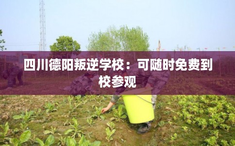 四川德阳叛逆学校：可随时免费到校参观