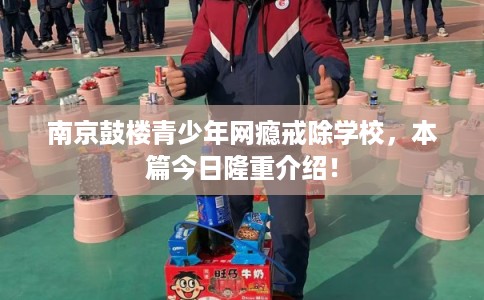 南京鼓楼青少年网瘾戒除学校，本篇今日隆重介绍！