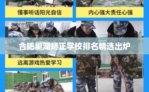 合肥巢湖矫正学校排名精选出炉