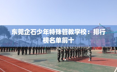 东莞企石少年特殊管教学校：排行榜名单前十