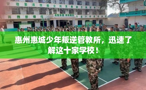 惠州惠城少年叛逆管教所，迅速了解这十家学校！