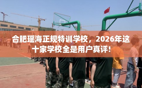 合肥瑶海正规特训学校，2026年这十家学校全是用户真评!