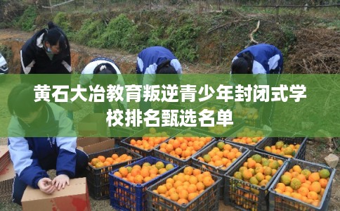 黄石大冶教育叛逆青少年封闭式学校排名甄选名单