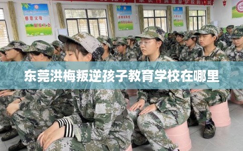 东莞洪梅叛逆孩子教育学校在哪里