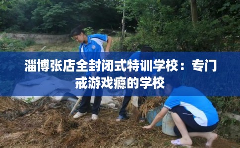 淄博张店全封闭式特训学校：专门戒游戏瘾的学校
