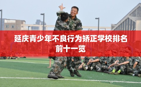 延庆青少年不良行为矫正学校排名前十一览