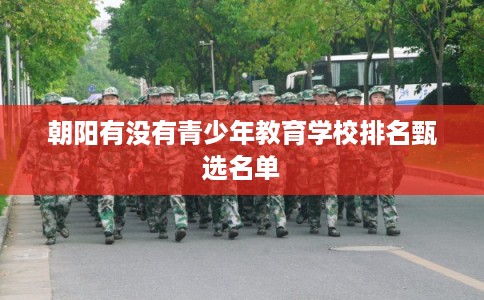 朝阳有没有青少年教育学校排名甄选名单