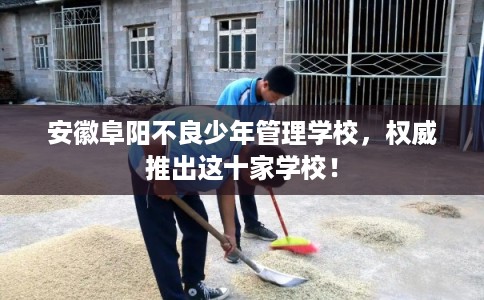 安徽阜阳不良少年管理学校，权威推出这十家学校！