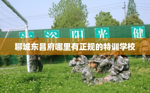 聊城东昌府哪里有正规的特训学校