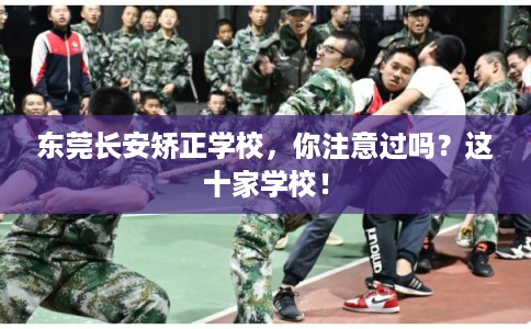 东莞长安矫正学校，你注意过吗？这十家学校！