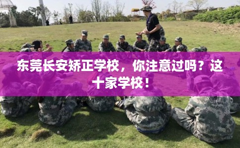 东莞长安矫正学校，你注意过吗？这十家学校！