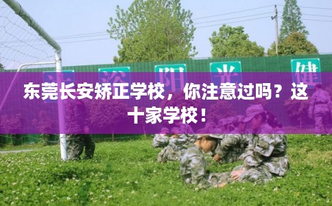 东莞长安矫正学校，你注意过吗？这十家学校！