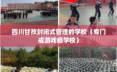 四川甘孜封闭式管理的学校（专门戒游戏瘾学校）
