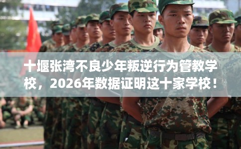 十堰张湾不良少年叛逆行为管教学校,2026年数据证明这十家学校! 十堰张湾不良少年叛逆行为管教学校,2026年数据证明这十家学校!