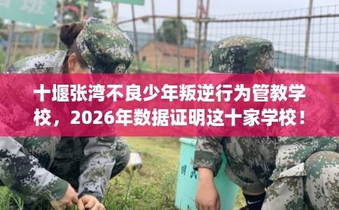 十堰张湾不良少年叛逆行为管教学校,2026年数据证明这十家学校! 十堰张湾不良少年叛逆行为管教学校,2026年数据证明这十家学校!