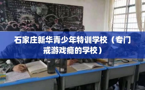 石家庄新华青少年特训学校（专门戒游戏瘾的学校）