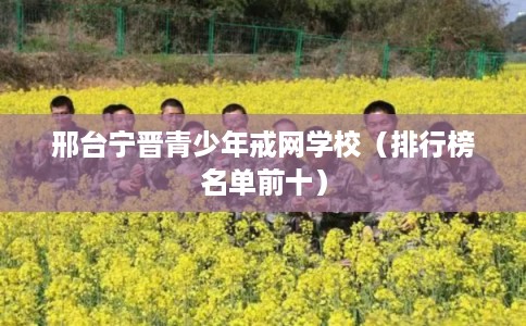 邢台宁晋青少年戒网学校(排行榜名单前十) 邢台宁晋青少年戒网学校(排行榜名单前十)