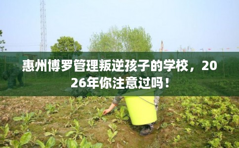 惠州博罗管理叛逆孩子的学校，2026年你注意过吗！