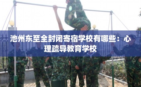 池州东至全封闭寄宿学校有哪些：心理疏导教育学校