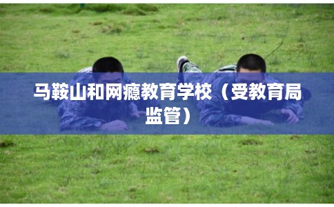 马鞍山和网瘾教育学校（受教育局监管）