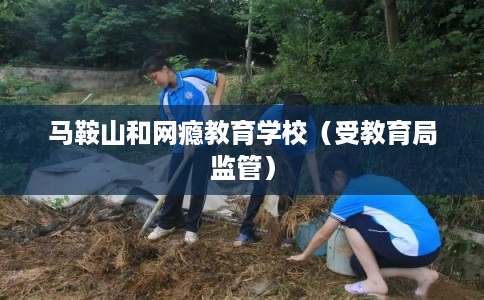 马鞍山和网瘾教育学校（受教育局监管）