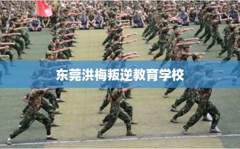 东莞洪梅叛逆教育学校