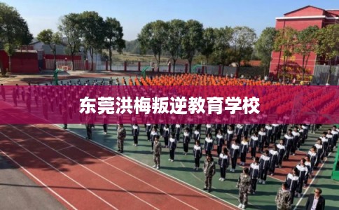 东莞洪梅叛逆教育学校