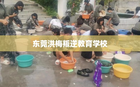 东莞洪梅叛逆教育学校