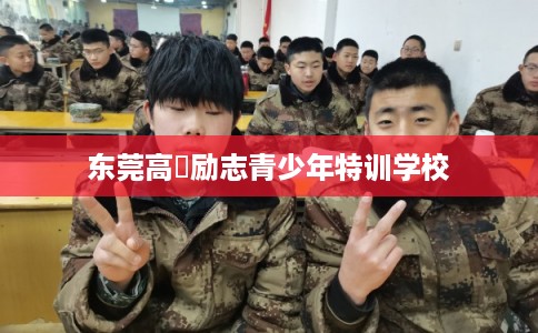 东莞高埗励志青少年特训学校