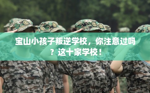 宝山小孩子叛逆学校,你注意过吗?这十家学校! 宝山小孩子叛逆学校,你注意过吗?这十家学校!