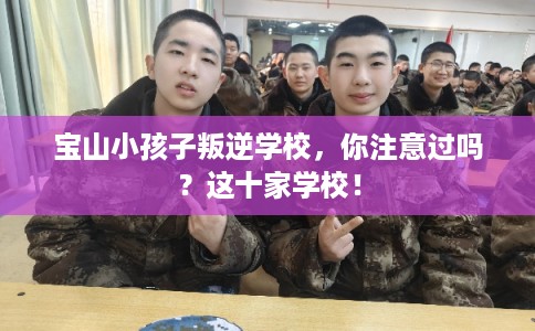 宝山小孩子叛逆学校,你注意过吗?这十家学校! 宝山小孩子叛逆学校,你注意过吗?这十家学校!