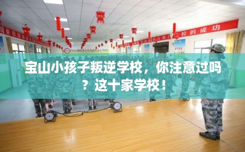 宝山小孩子叛逆学校，你注意过吗？这十家学校！